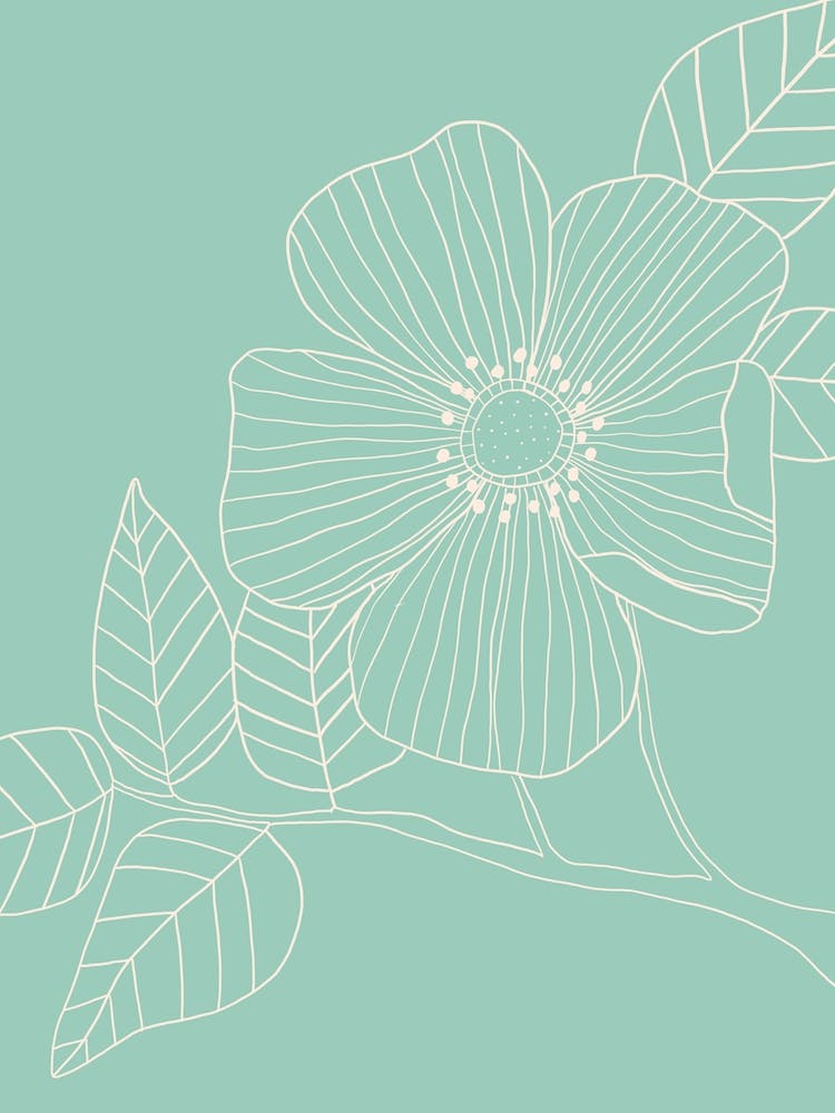 Duck Egg Blue Floral Line Drawing