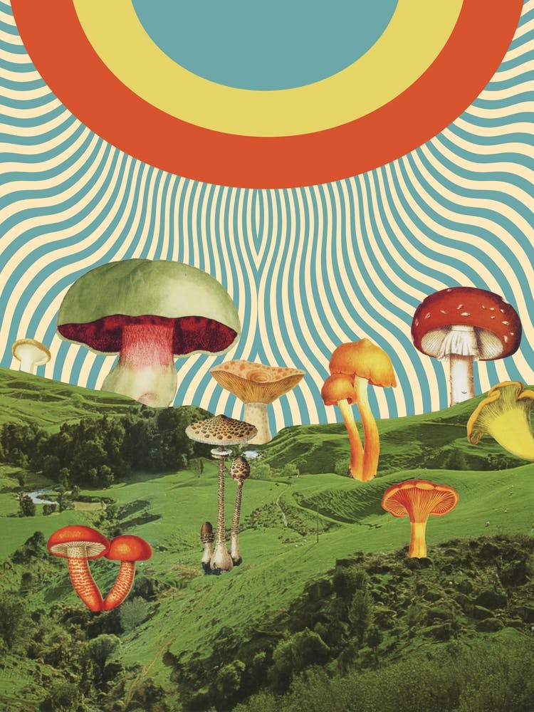 Shroomscape