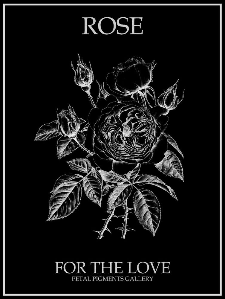 Schwarz-Weiß Rosen-Strichzeichnung 3 Poster Invertiert