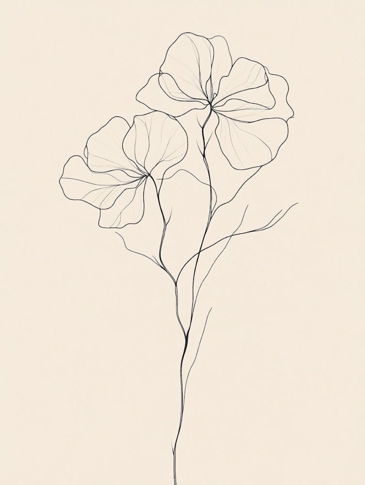 Line Drawing Flowers