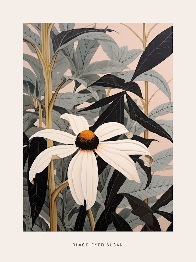 Flower Illustration Black Eyed Susan 2 Poster