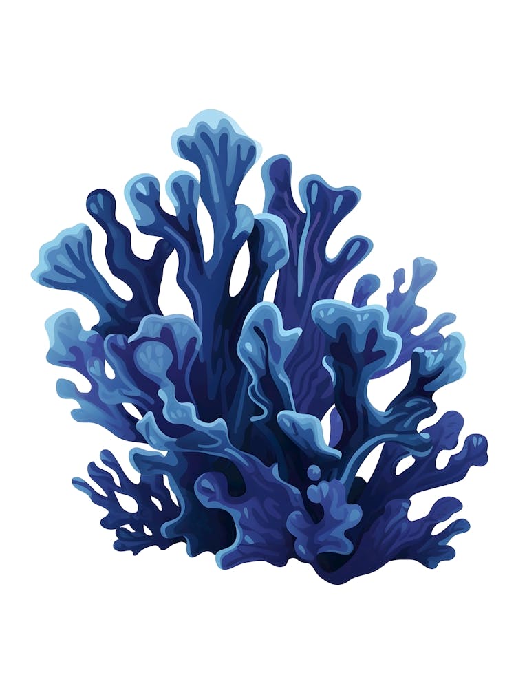 Blue Coral Isolated On White Background