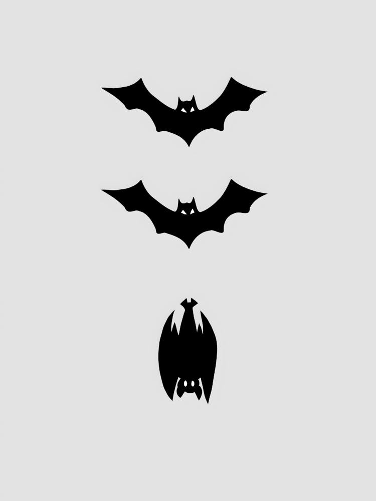Black Bats
