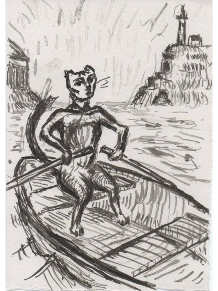 Cat In Boat
