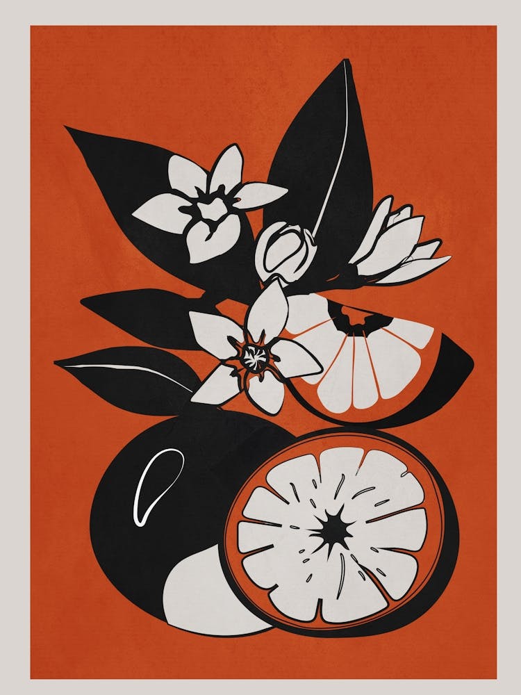 Line Art Oranges 1