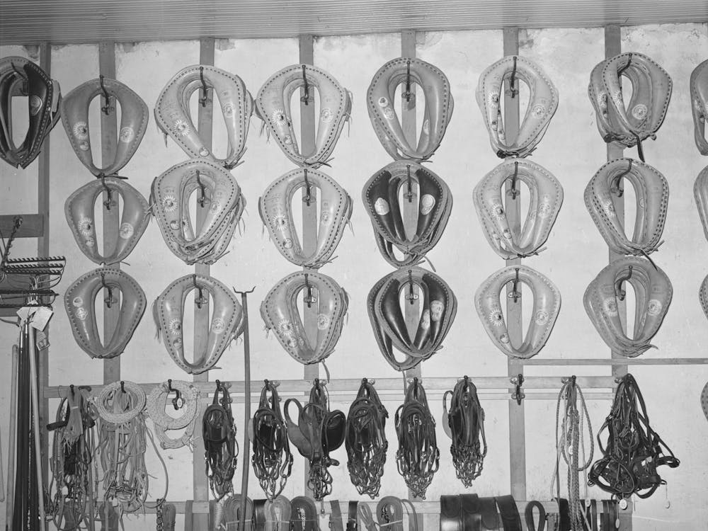 Horse Collars And Bridles In Hardware Store, San Augustine Texas By Russell Lee