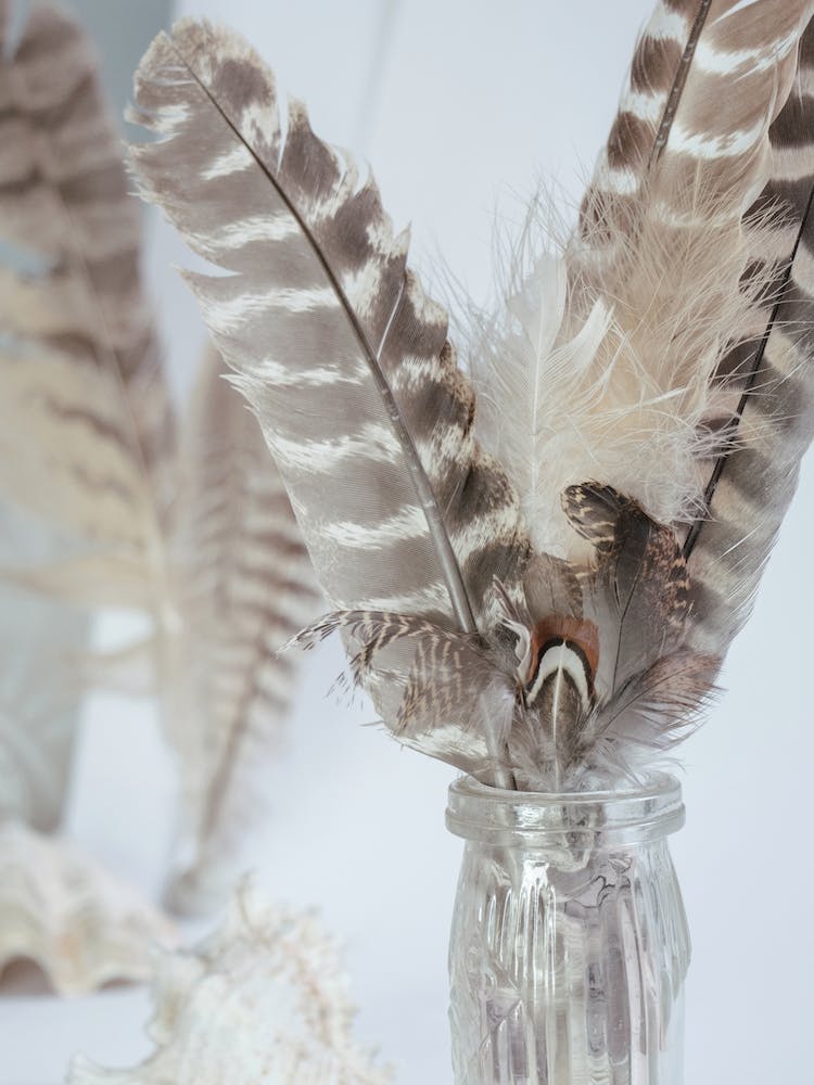 Feathers In A Vase 1