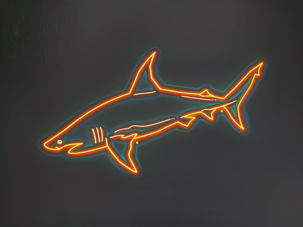 Orange Smooth Hammerhead Neon Shark 6