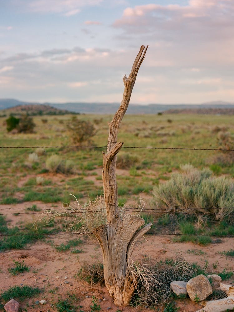 Abiquiu Sunset on Film