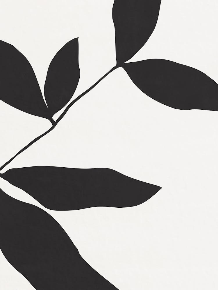 Black And White Leaf 01