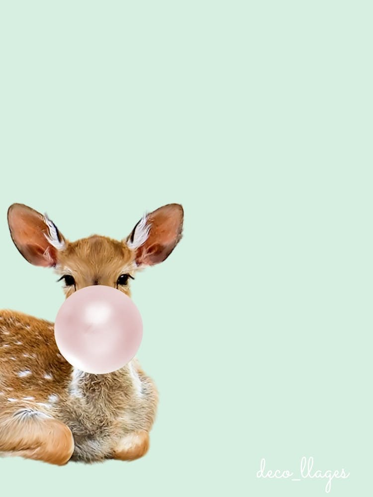 Biche avec chewing-gum