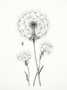 Restful Drawing Canvas Art