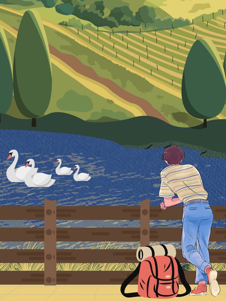 Swans In The Lake