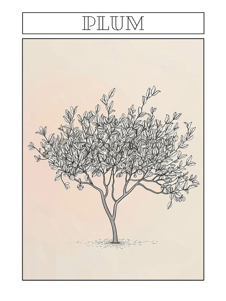 Plum Tree Minimalistic Drawing 2 Poster