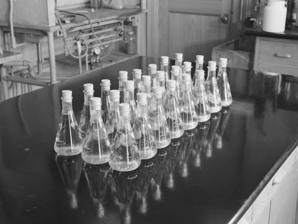 Erlenmeyer Flasks Full Of Liquid And Wood Samples, Forest Products Laboratory, Madison, Wisconsin By Russell Lee