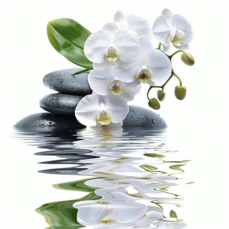 White Orchids 3