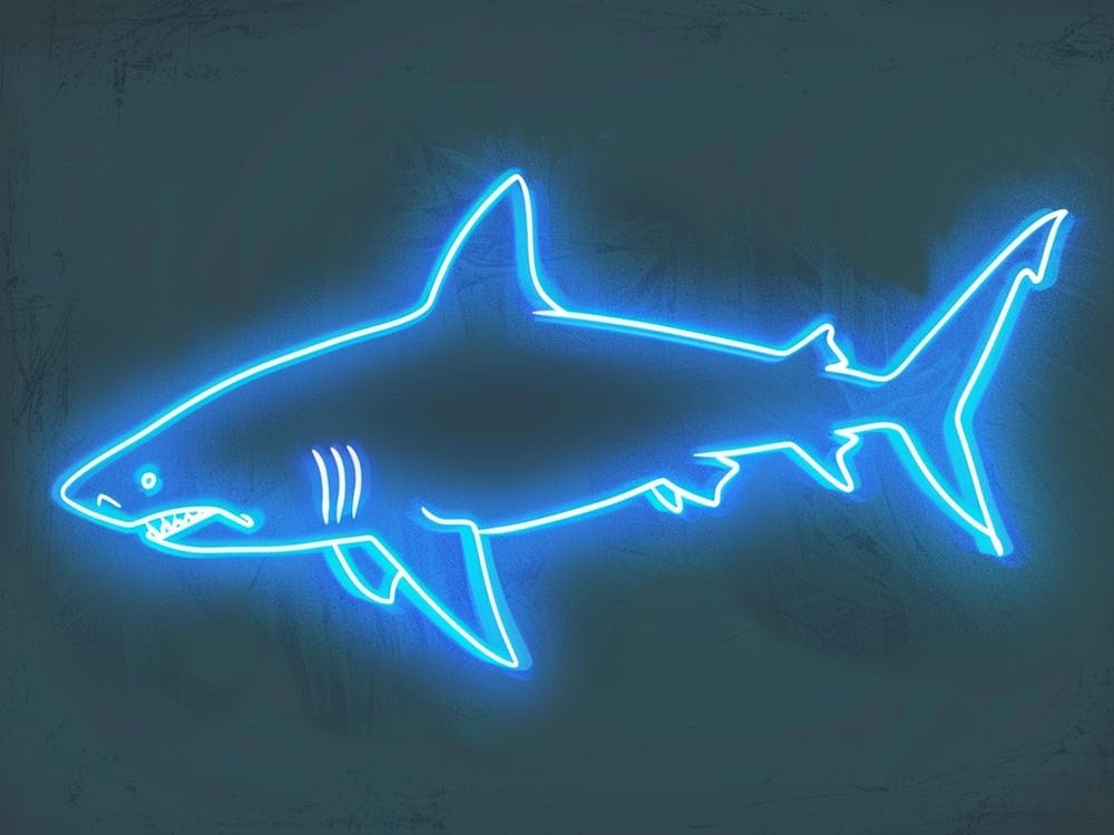 Neon Blacktip Reef Shark 1