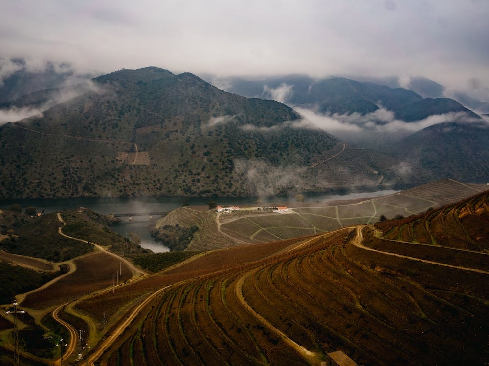 Douro Vineyards, Portugal