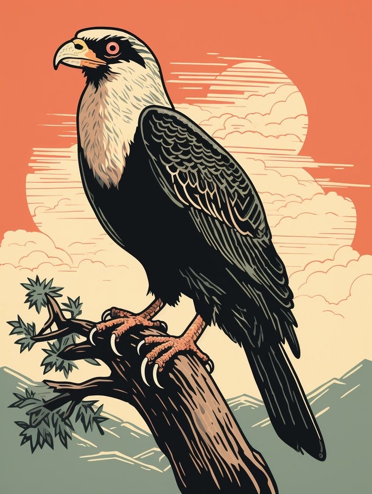 Vintage Bird Linocut Crested Caracara 3