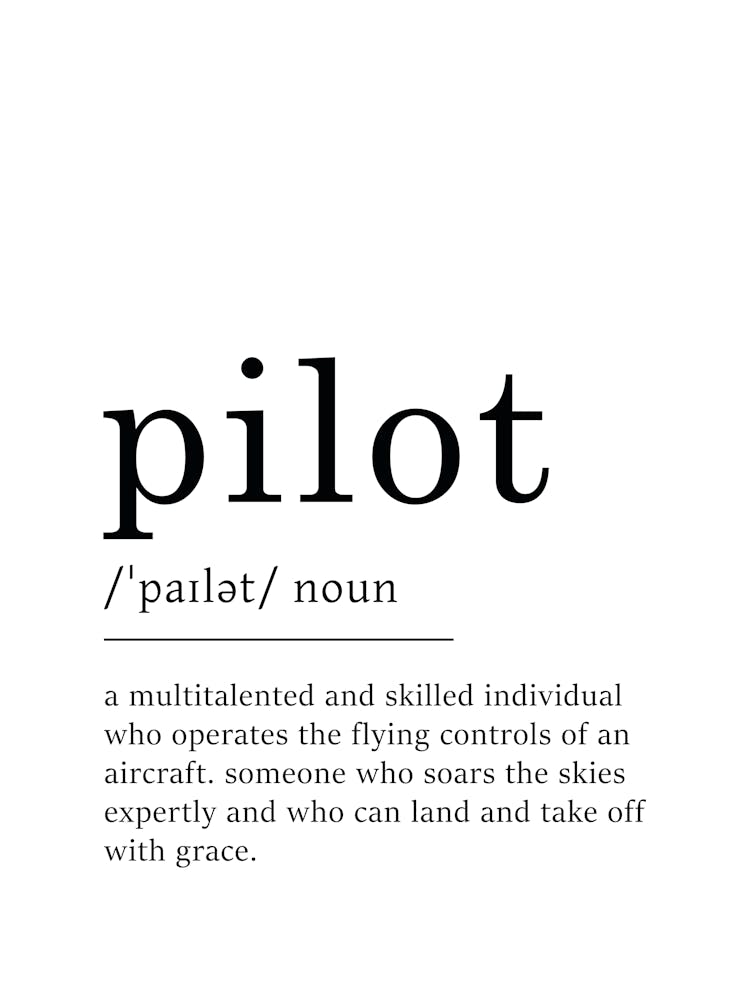 Pilot Definition Poster - Dictionary