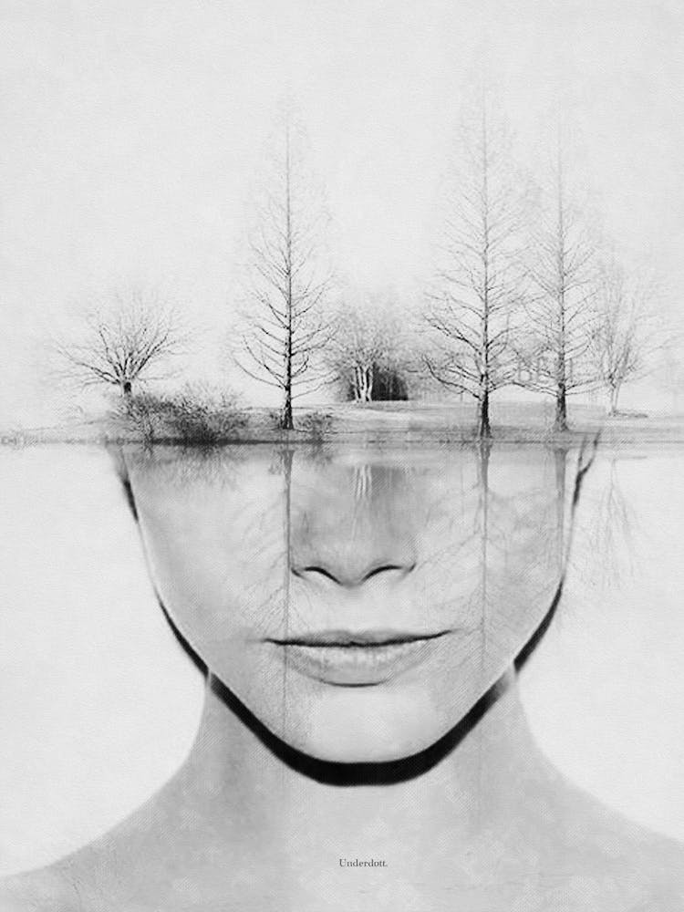 White Dream