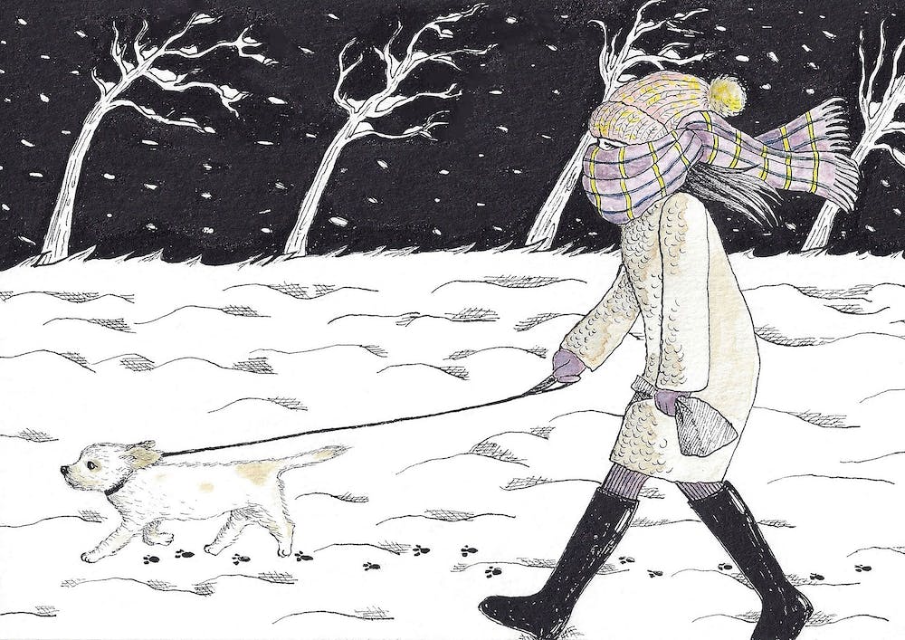 Bitter Cold Night Stroll