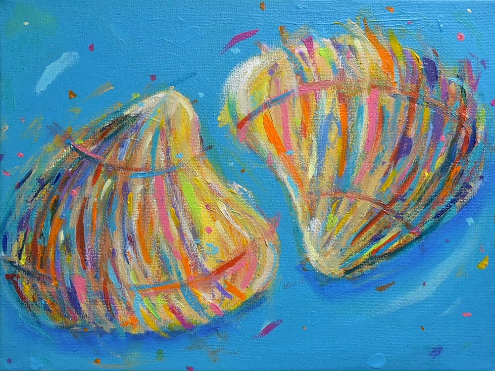 Shells 1