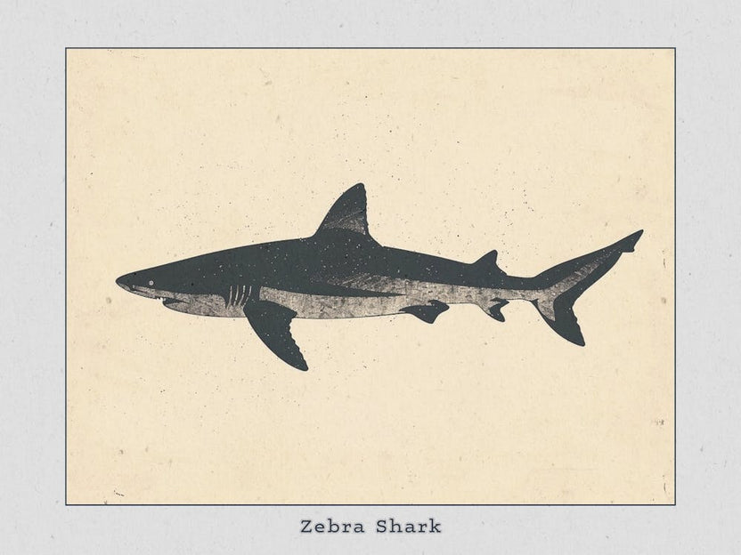 Zebra Shark Silhouette 2 Poster