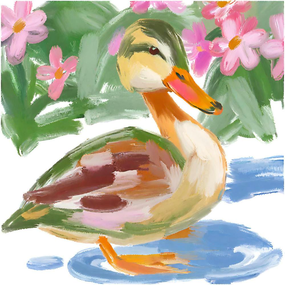 Duck 12