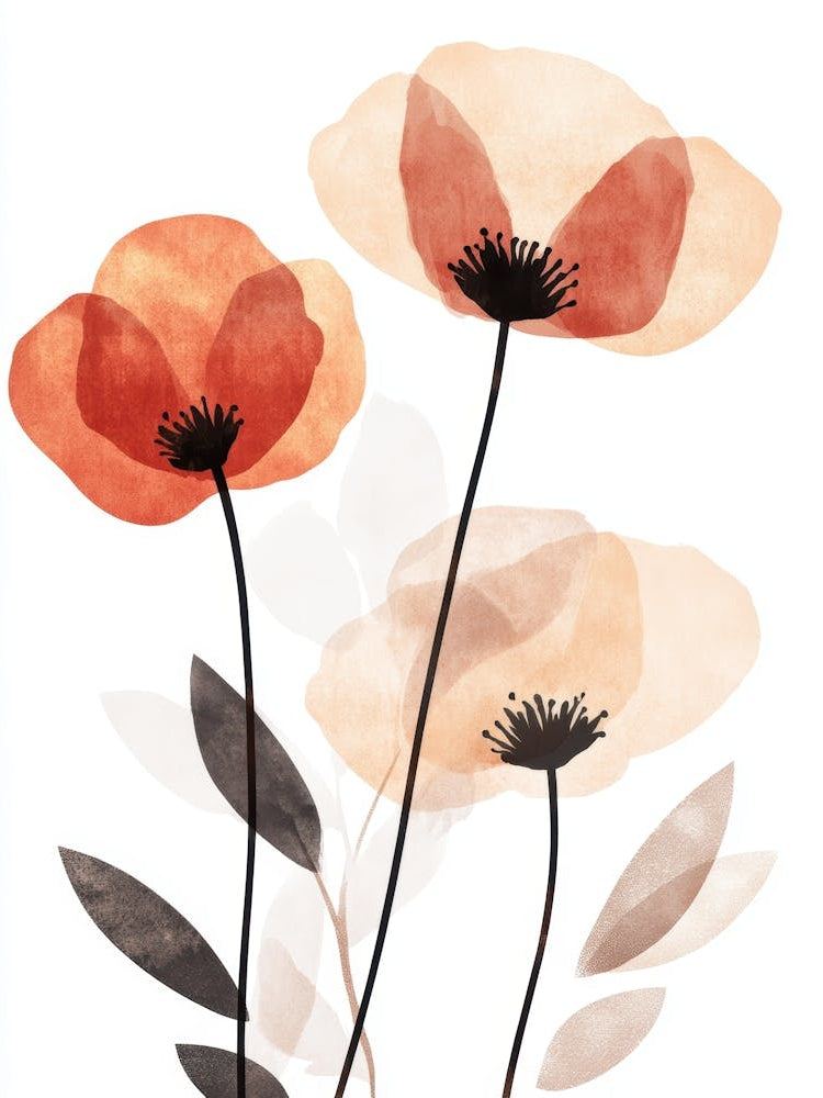 Poppies 159