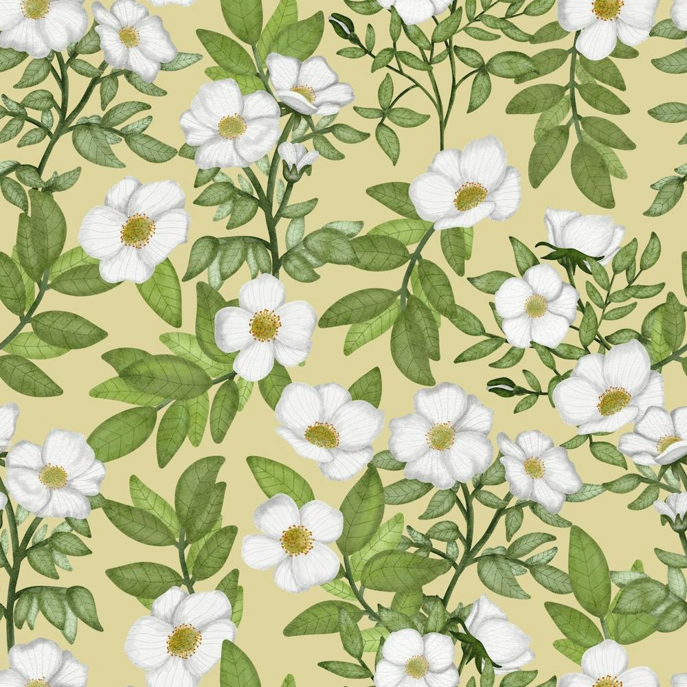 Soft white flowers pattern