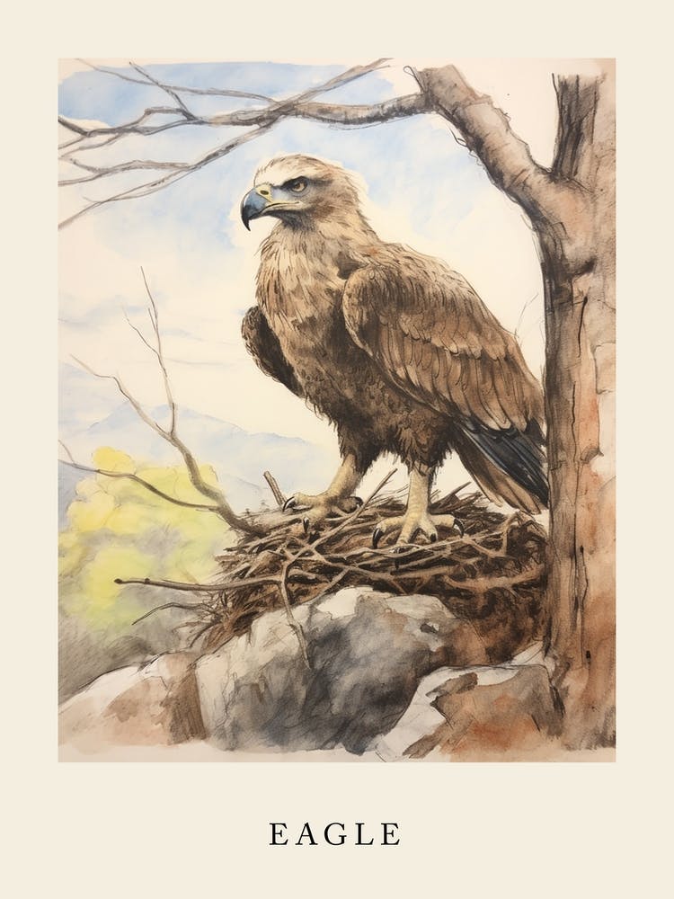 Beatrix Potter inspiriertes Tier Aquarell Adler 2
