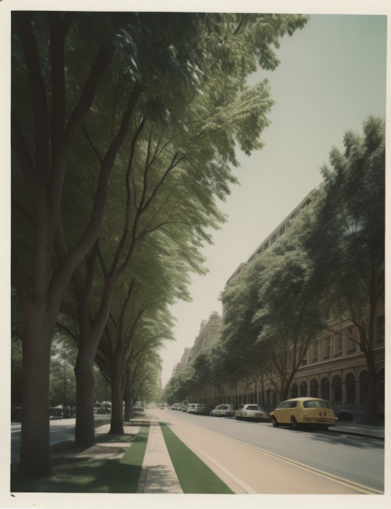 Street In Washington, Dc
