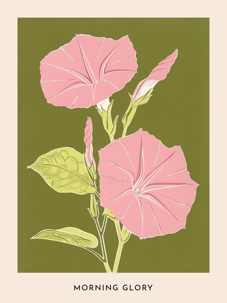 Pink & Green Morning Glory 2 Flower Poster