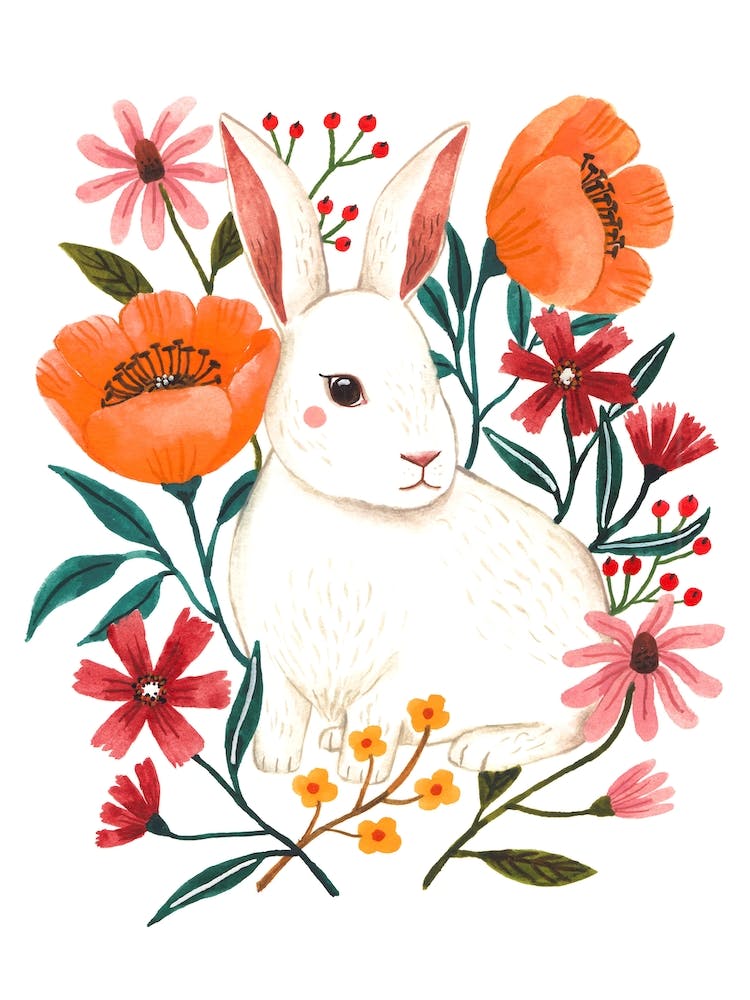 White Rabbit