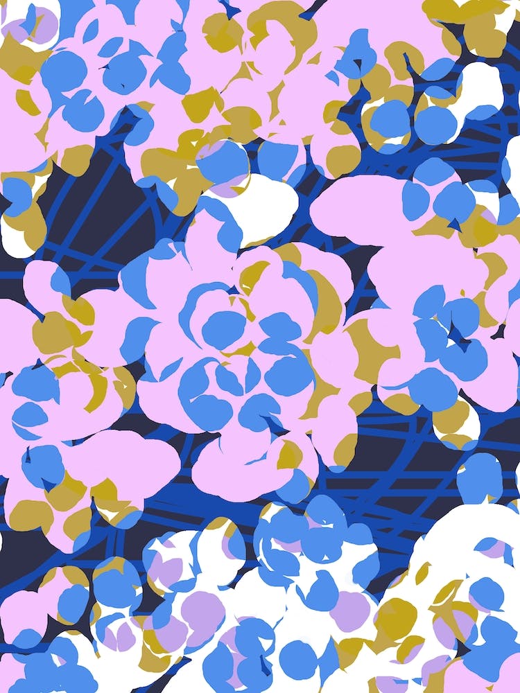 Pink And Blue Flowers