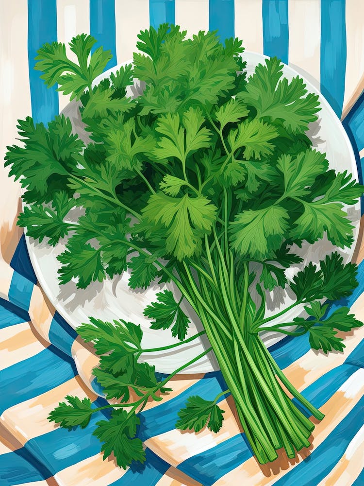 Cilantro Summer Illustration 4