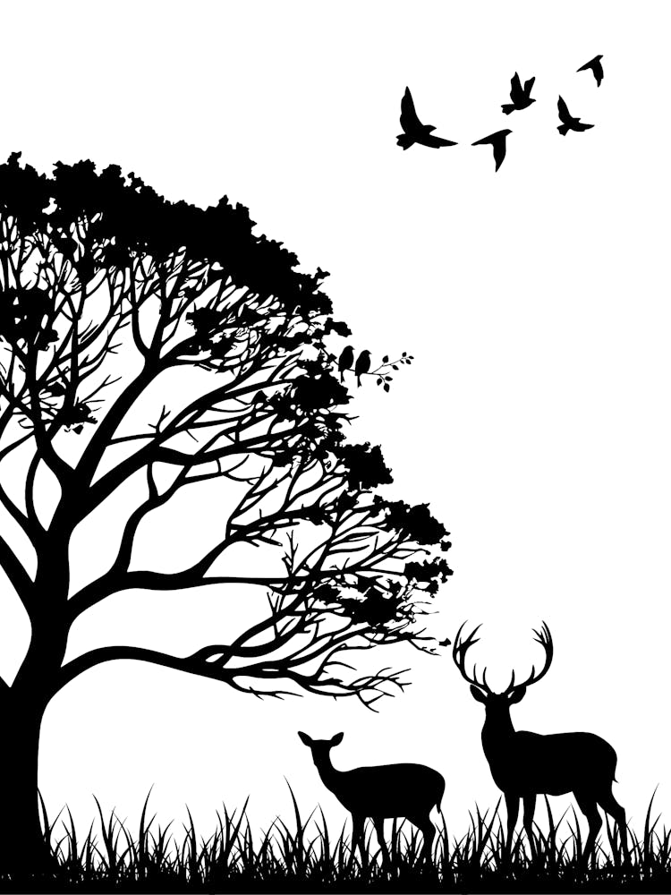 Deer In The Forest