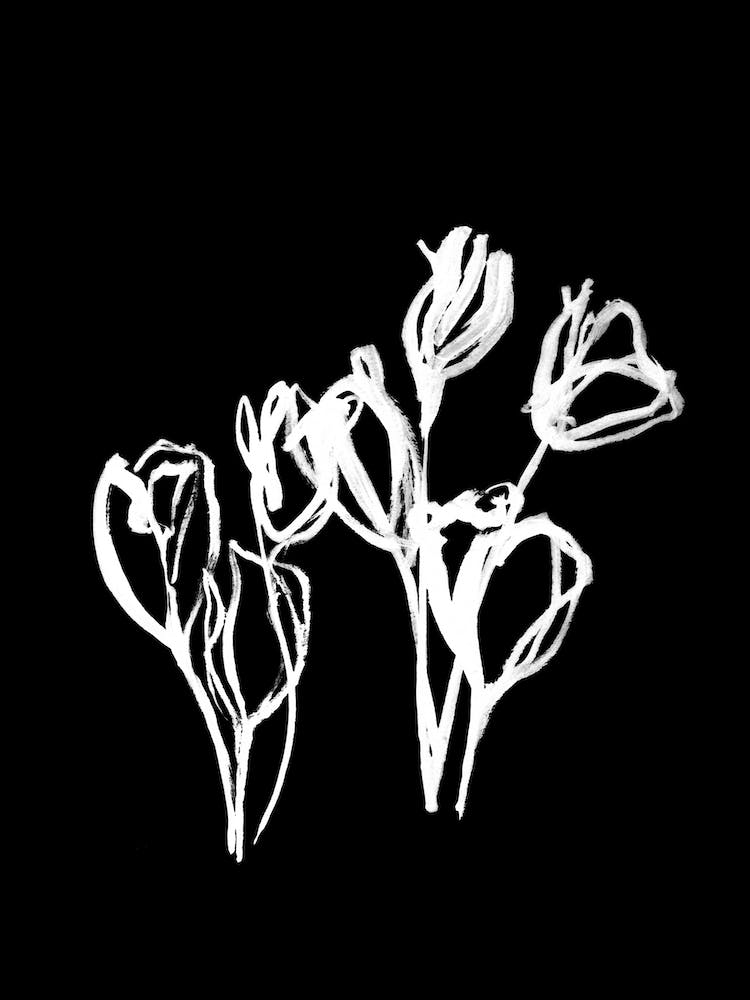 Night Tulips Iii