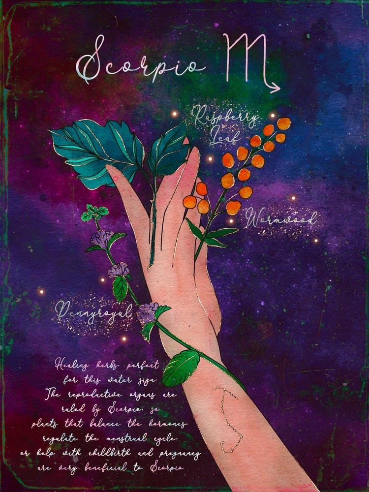 Scorpio Healing Herbs