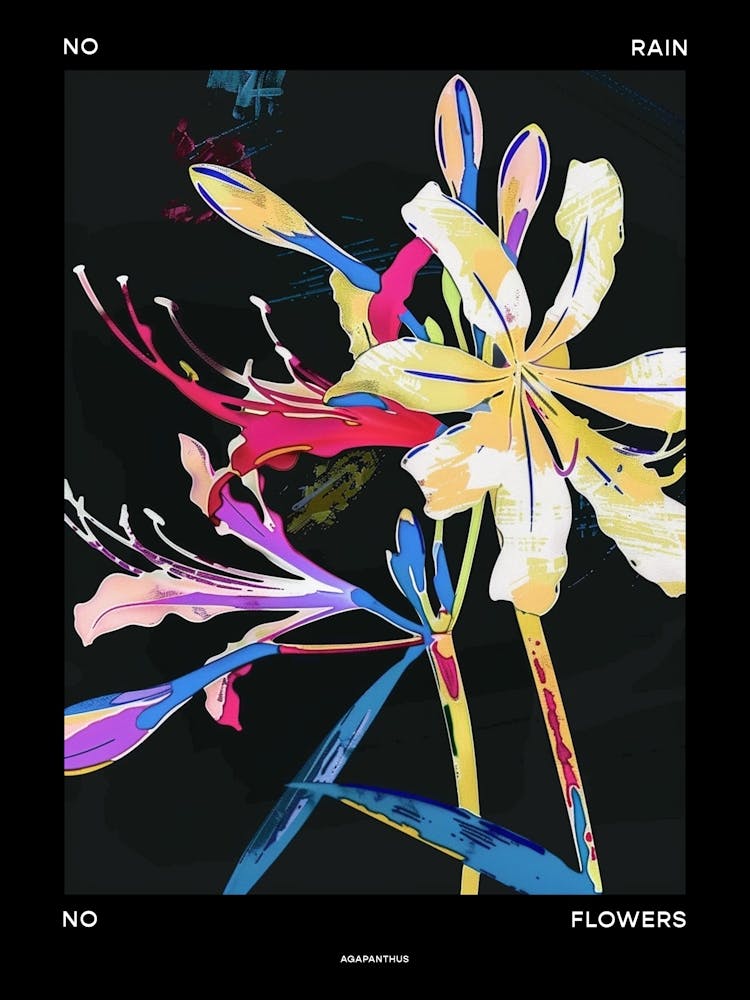 No Rain No Flowers Poster Agapanthus 1