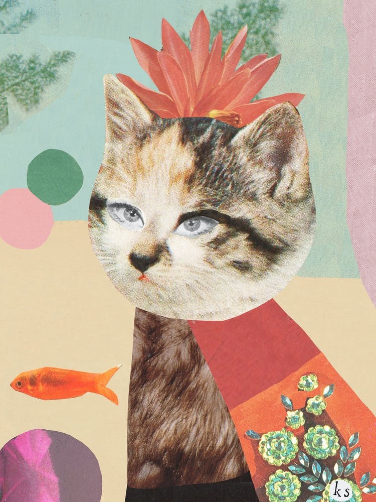 Cat King