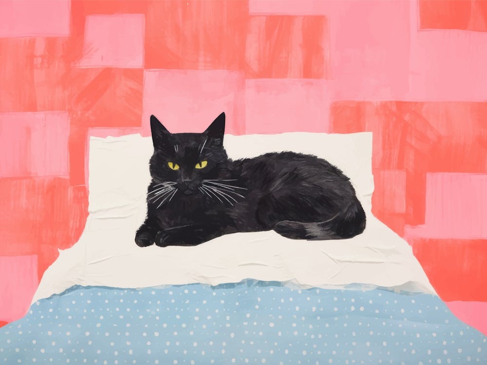 Black Cat Bedroom Poster