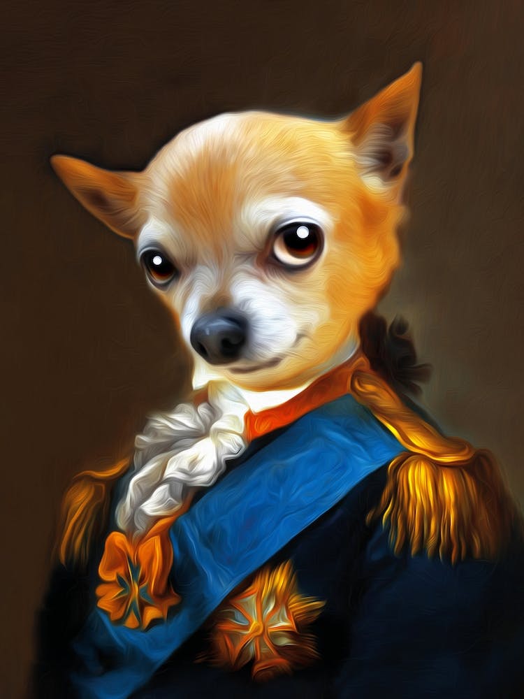 Unpredictable Chihuahua Dog Kerl Pet Portraits