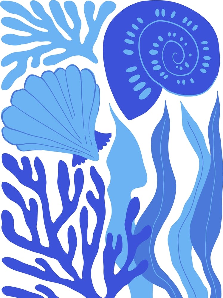 Blue Seashells Ocean Collection Boho