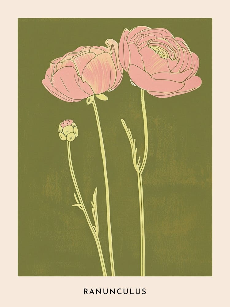 Pink & Green Ranunculus 1 Flower Poster