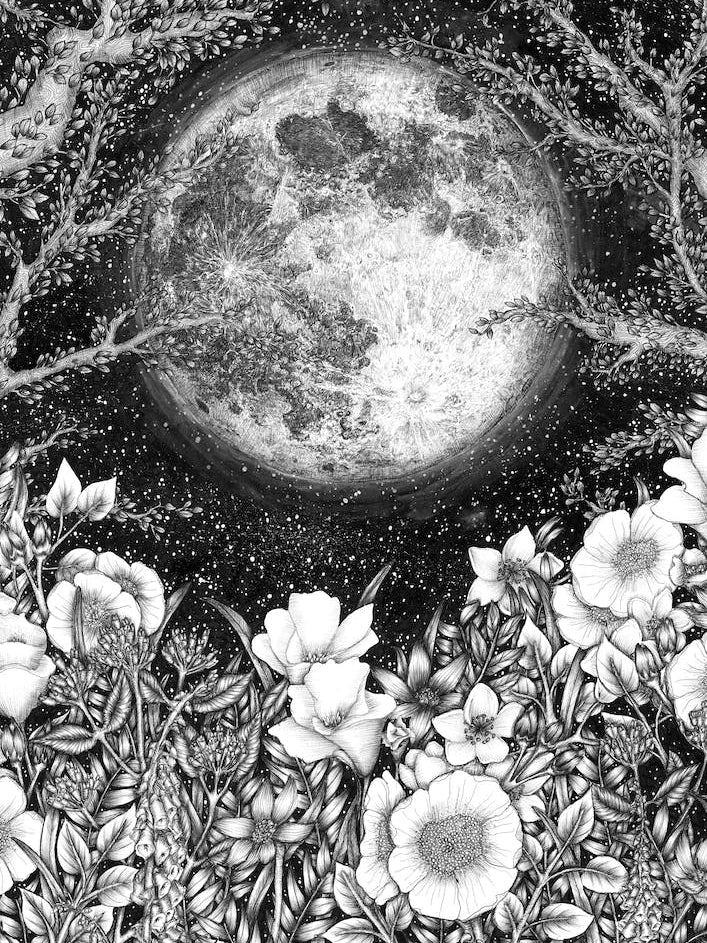 Midnight in the Garden