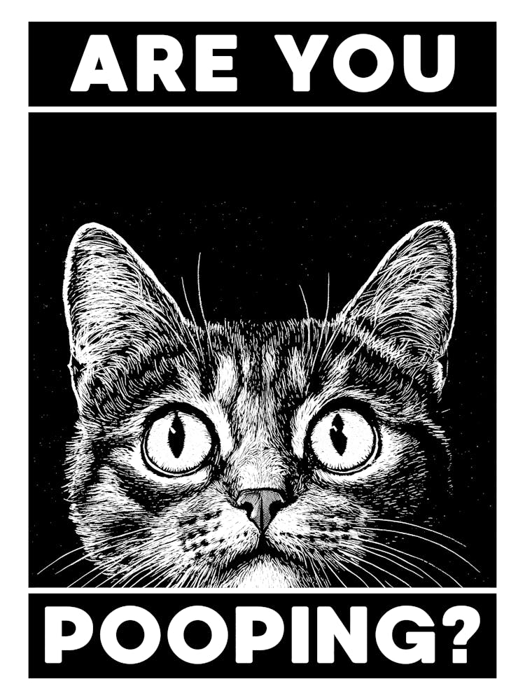 Are You Pooping? Funny Cat Bathroom Poster for Toilet Humor, Bold Monochrome Black & White Print Bathroom Wall Decor for Cat Lovers, Funny Art Cat Poster Perfect for Bathroom, Powder Room