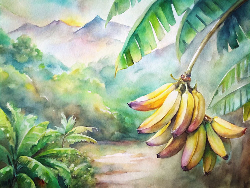 6 Ripe Bananas In A Tropical Orchard (1)