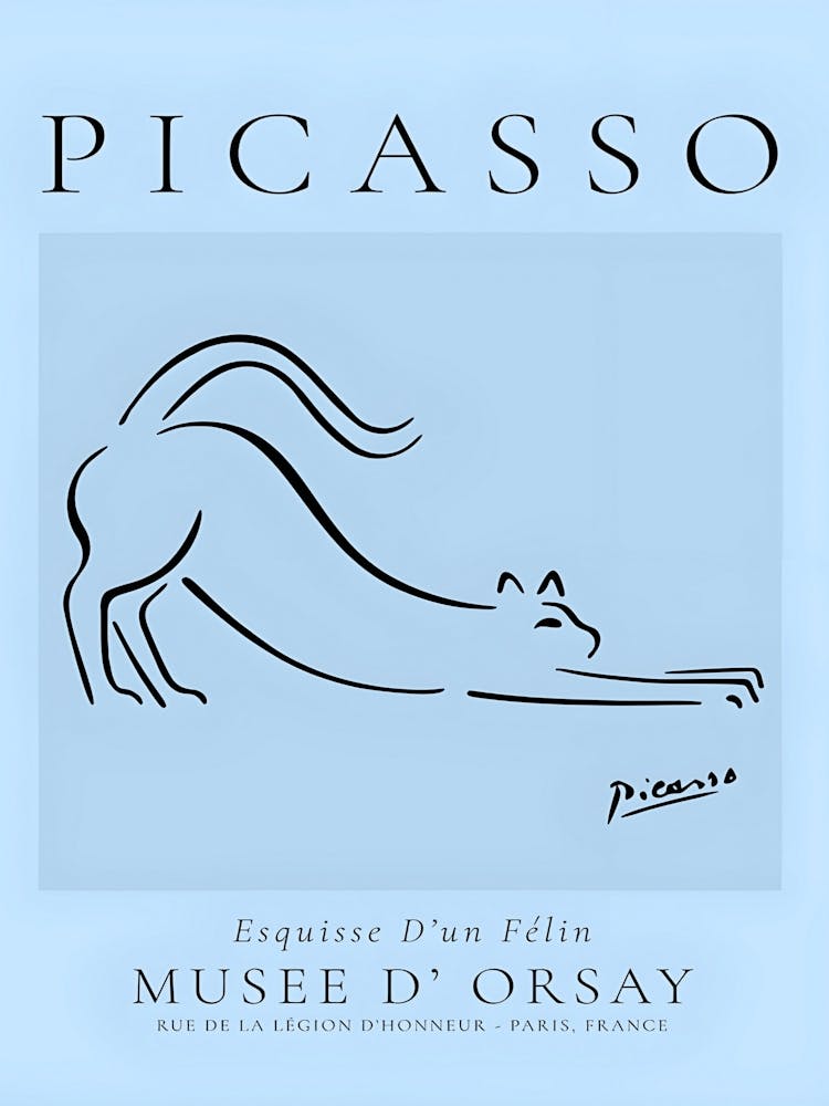 Picasso